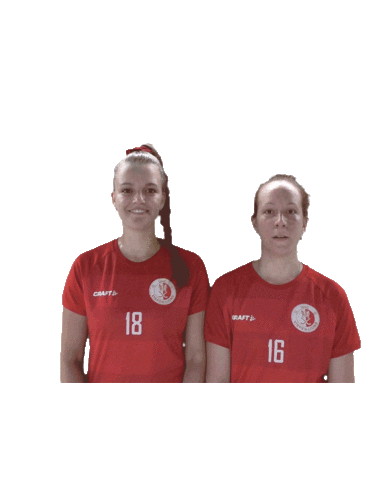 UHC Visper Lions Sticker