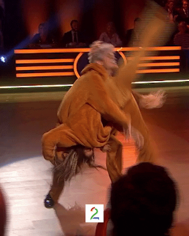 Lion King Tv2Sumo GIF by tv2norge