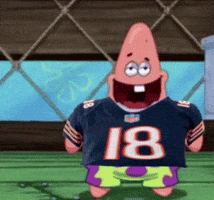 Green Bay Packers GIF