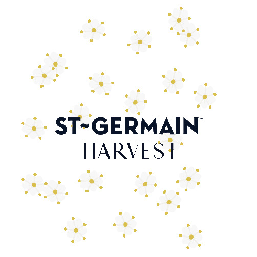 St-Germain Sticker