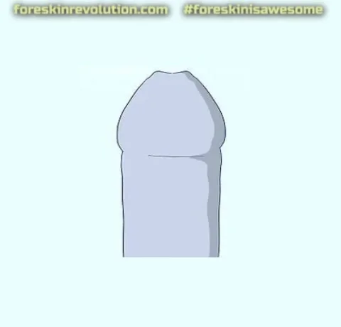 How I Roll GIF by Foreskin Revolution