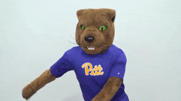 GIF by Pitt Panthers