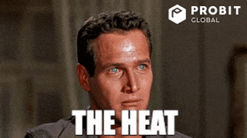 The Heat Sweat GIF by ProBit Global