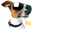 Dog Sticker by Luna Pets