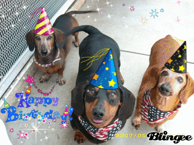 Happy-birthday-dog GIFs - Get the best GIF on GIPHY