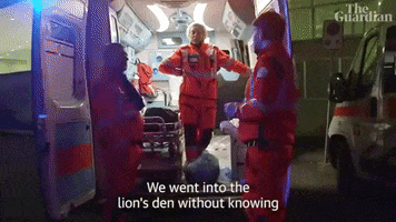 Lions Den Italy GIF by guardian