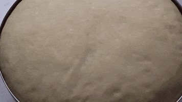 Homemade Bread GIF