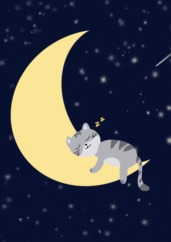 Cartoon gif. A grey cat sleeps peacefully on a flashing crescent moon as stars shoot past on a starry background.  