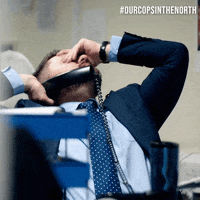 police ourcopsinthenorth GIF by Level Theory