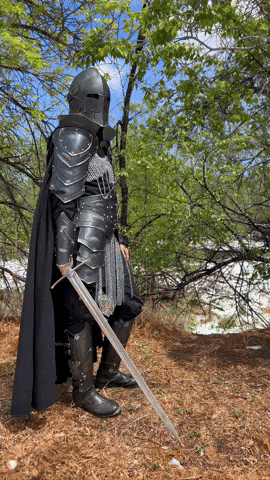 On Guard Knight GIF