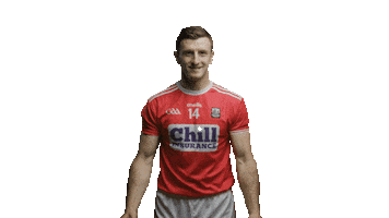 bord gais ireland Sticker by Bord Gáis Energy