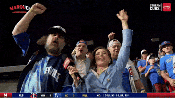 Chicagostylecubs GIF