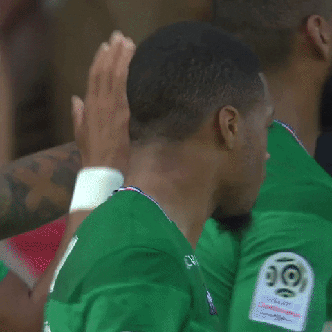 Ligue 1 Hug GIF by AS Saint-Étienne