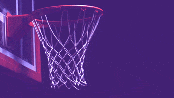 Basketball Swish GIF by StubHub