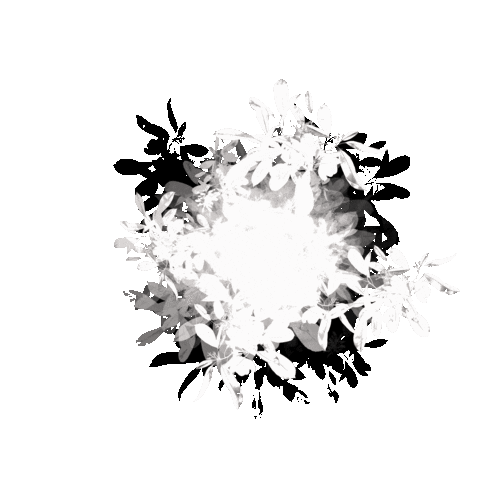 White Sticker