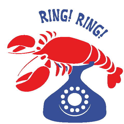 Phone Sticker