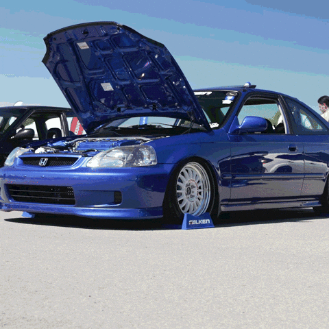 Honda Race GIF by Falken Tire