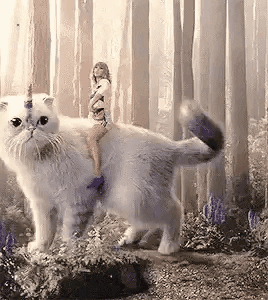 Digital compilation gif. Taylor Swift edited to look like she's riding a giant unicorn cat through a mystical forest as she scatters glitter in an arc across the frame. 