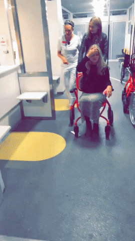 Rikkegjoel GIF
