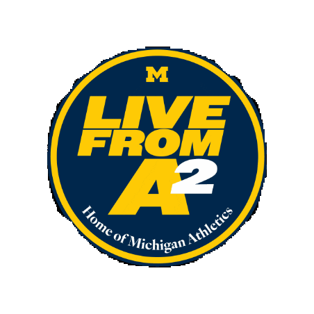 Go Blue University Of Michigan Sticker by Michigan Athletics