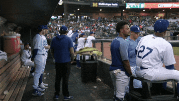 Great Lakes Loons GIF