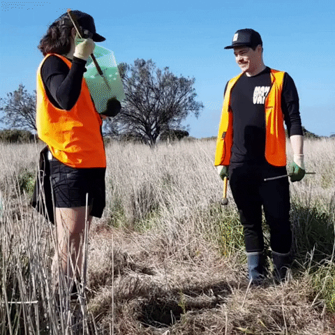 manwithavanmelbourne melbourne movers mover treeplanting GIF