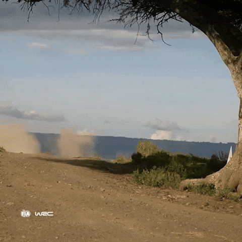 Send Toyota Yaris GIF by FIA World Rally Championship