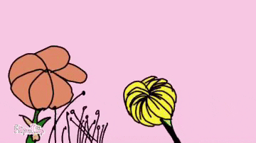 Chrysanthemum meme gif