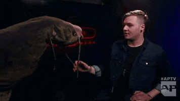 too close to touch keaton pierce GIF by Alternative Press