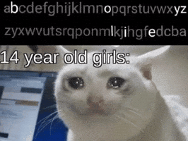 Adolescence GIF by MSR Media Network