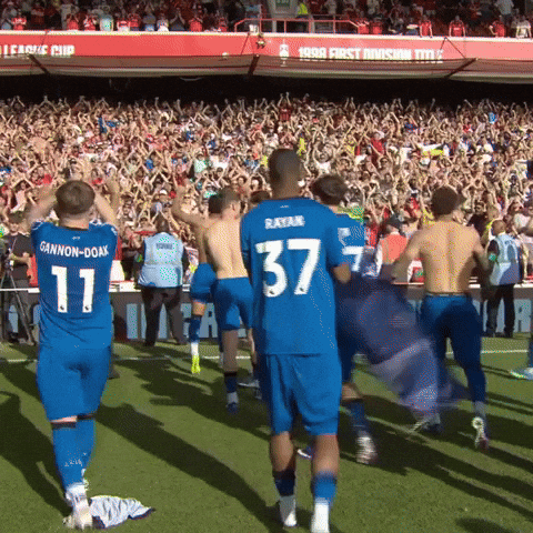 Happy Premier League GIF by AFC Bournemouth