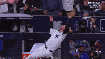 New York Yankees Sport GIF by MLB