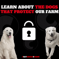 Farm Life Doggies GIF by Tap The Table