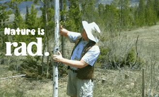 90S GIF