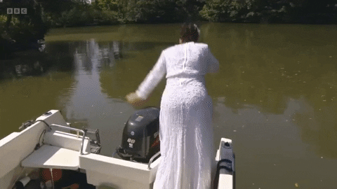 giphy.gif