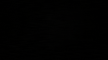 GIF by The Undroppables