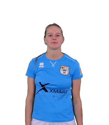 Beachsoccer Zeeland Sticker