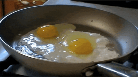 jaja GIF