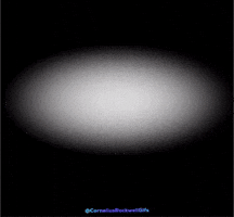Corneliusrockwellgifs GIF