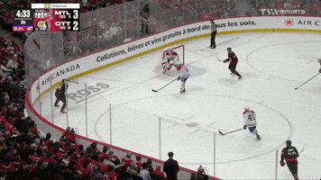 Ottawa GIF