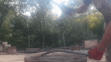 Chicken GIF