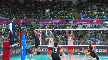 Attack Smile GIF by Volleyball World