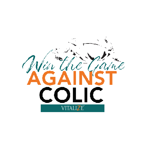 Horse Sticker by Vitalize Equine