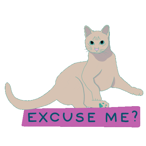 Confused Excuse Me Sticker by FaraOana