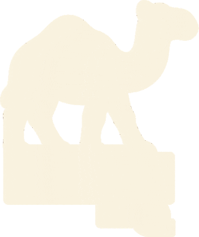 Dubai Camello Sticker by Terramar Brands