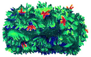 Plant Forest Sticker