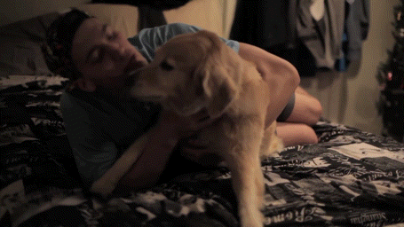 Golden Retriever Love GIF by FN Films - Find & Share on GIPHY