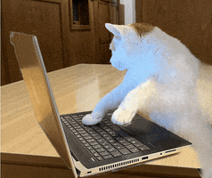 Cat Working GIF by Felshaus