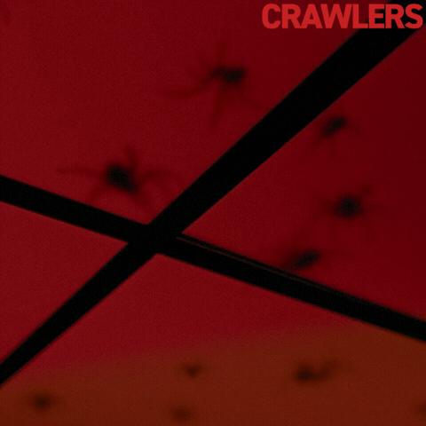 Spider GIF by Roadside Attractions