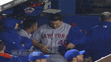 new york mets GIF by MLB